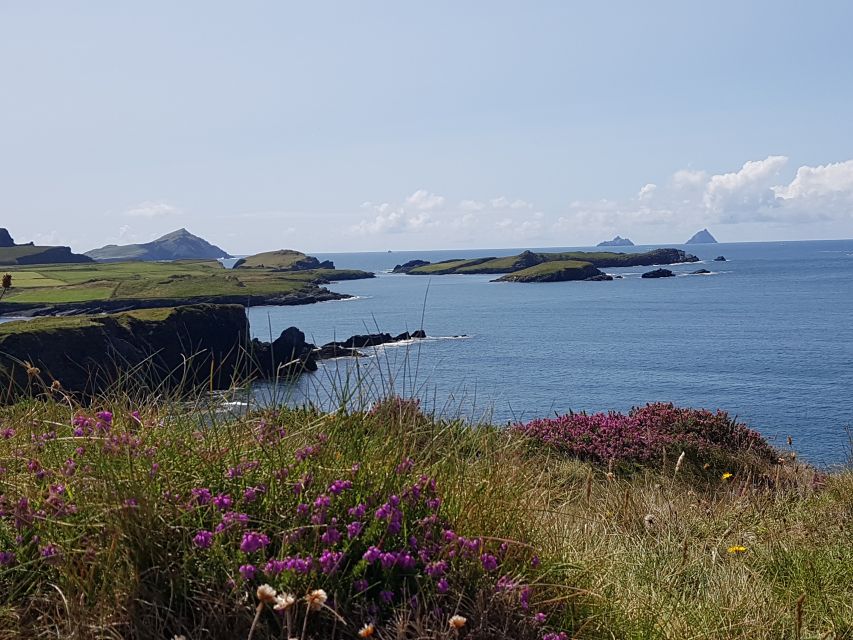 From Killarney: 'Ring of Kerry' Mountain Road 1-Day Bus Tour - Optional stops, lunch, and extra costs
