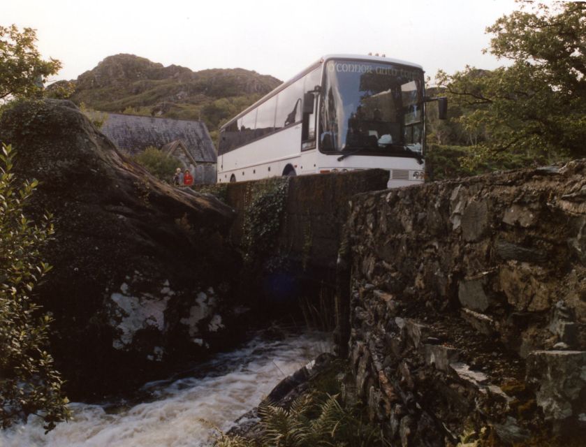 From Killarney: 'Ring of Kerry' Mountain Road 1-Day Bus Tour - Who should book this Ring of Kerry tour?