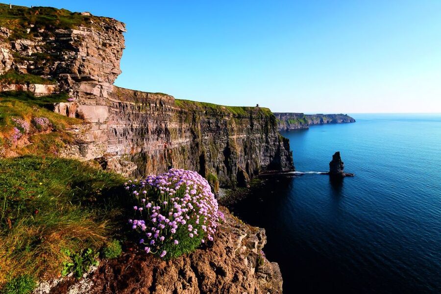 From Limerick: Full-Day Guided Tour of Cliffs of Moher - The Cliffs of Moher in a 90-minute visit