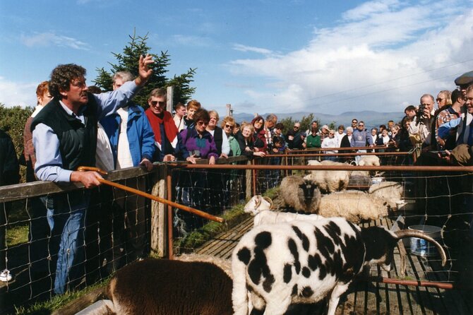 Full-Day Ring of Kerry Tour from Killarney - Sneem offers a change from viewpoints