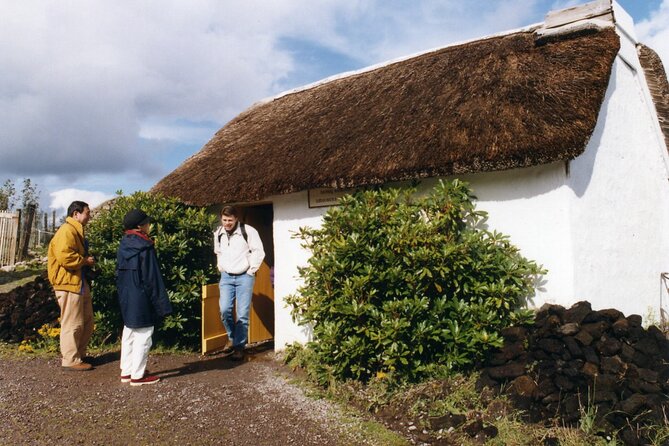 Full-Day Ring of Kerry Tour from Killarney - Ladies’ View gives you an easy first photo stop