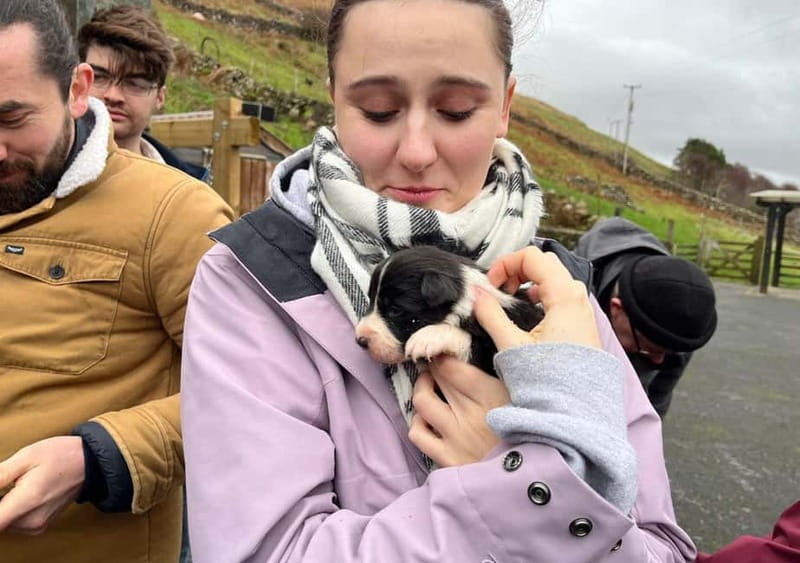 Galway: Connemara, Sheepdog Show and Medieval Castle Tour - Who should book this Connemara day trip?