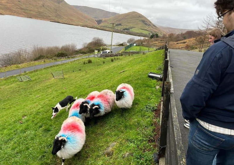 Galway: Connemara, Sheepdog Show and Medieval Castle Tour - Leaving Galway for Connemara country