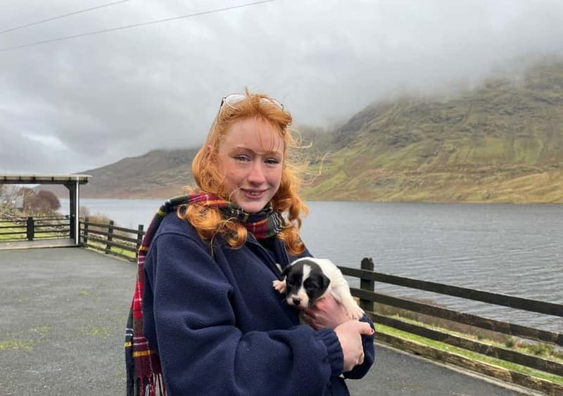 Galway: Connemara, Sheepdog Show and Medieval Castle Tour - Mountain views through the heart of Connemara