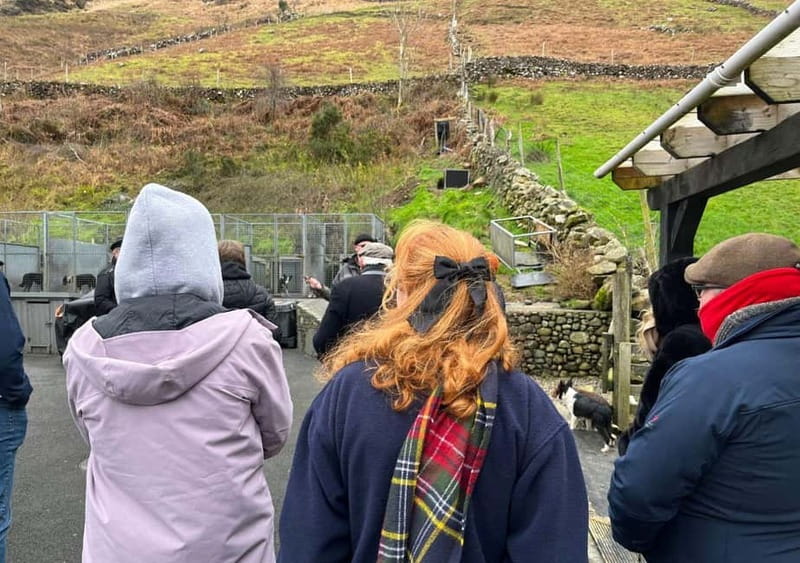 Galway: Connemara, Sheepdog Show and Medieval Castle Tour - How the small group affects the day