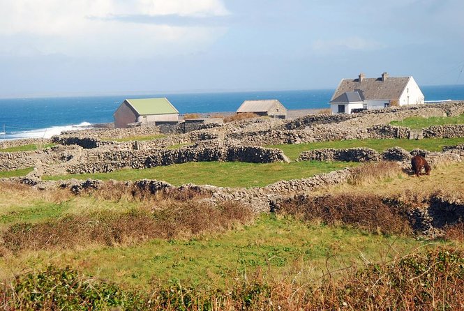 Galway to Aran Islands Inisheer, Doolin, Cliffs of Moher Day Tour - The ferry to Inisheer