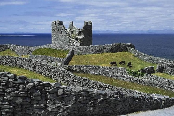 Galway to Aran Islands Inisheer, Doolin, Cliffs of Moher Day Tour - Is $96.74 good value?