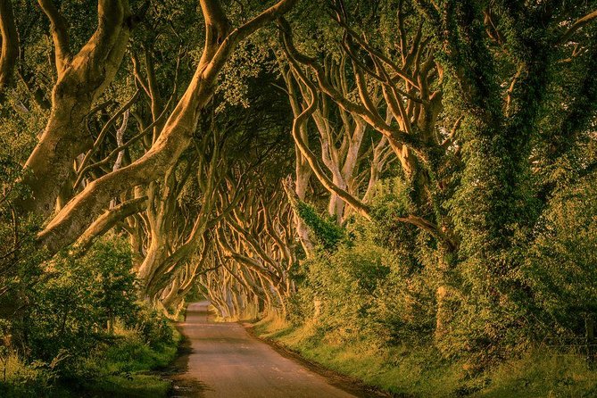 Giant Causeway, Dark Hedges & Whiskey Distillery tour from Dublin - Dunluce Castle and the wild Antrim coast
