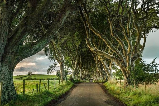 Giant's Causeway Day Tour from Dublin - Food, comfort, and the long return to Dublin