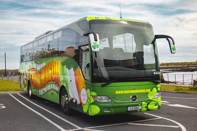 Glendalough Day Tour from Dublin: Including Kilkenny City - What the guide adds to the bus ride
