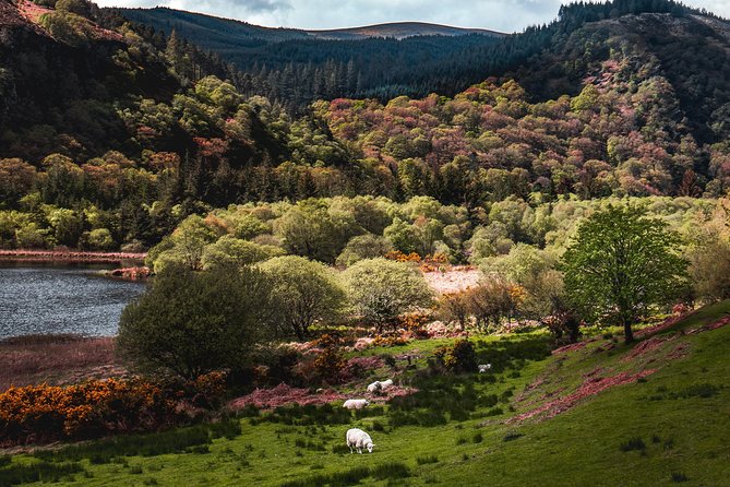Glendalough Day Tour from Dublin: Including Kilkenny City - How to make the day run smoothly
