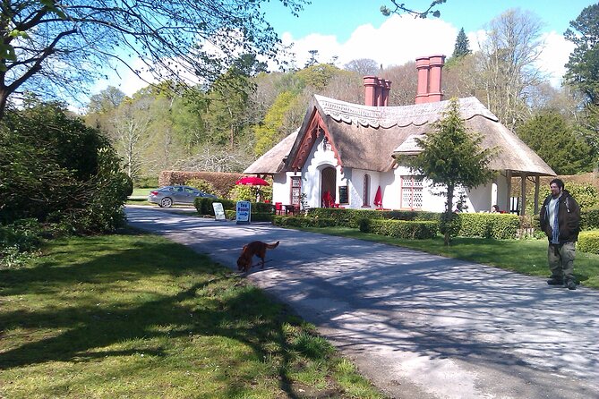 Guided Killarney National Park Walking Tour - Starting beside St. Mary’s Cathedral at 11am
