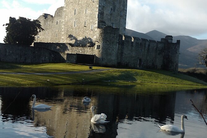 Guided Killarney National Park Walking Tour - Deenagh Lodge and the first taste of the park