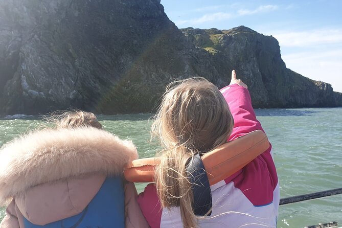 Howth Cliffs and Ireland's Eye Ferry Boat Tour - Seeing Howth from the sea instead of the trail