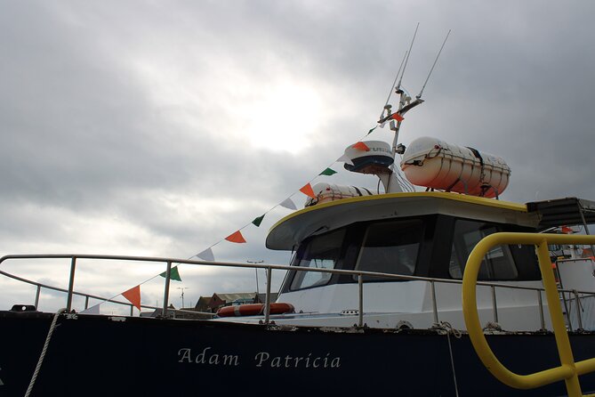 Howth Cliffs and Ireland's Eye Ferry Boat Tour - Ireland’s Eye and its wildlife