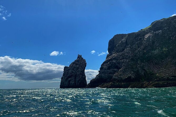 Howth Cliffs and Ireland's Eye Ferry Boat Tour - Is $24.20 good value?