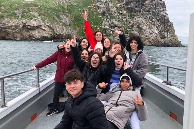Howth Coastal Boat Tour (Ireland's Eye Ferries 50 mins trip) - Getting from Dublin to the Howth pier