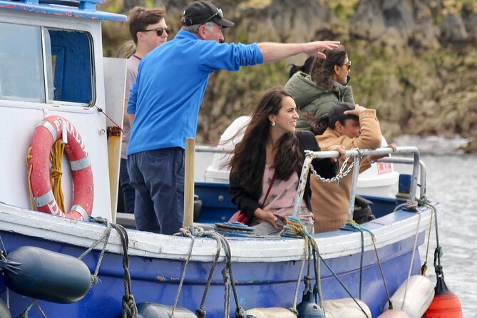 Howth Coastal Boat Tour (Ireland's Eye Ferries 50 mins trip) - What the one-hour route feels like
