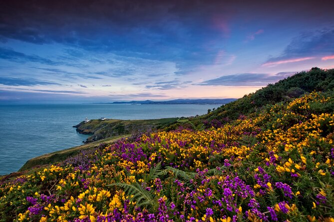 Howth Coastal Half-Day Bus Tour from Dublin with Live Guide - Free time in Howth Village