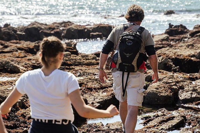 Howth Safari Hiking Tour - What the guide adds to the scenery