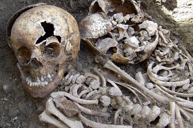 Irish Famine Museum / Exhibition Dublin - Why this small exhibition matters