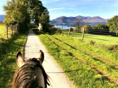Guided Horse Riding Tour in Killarney National Park
