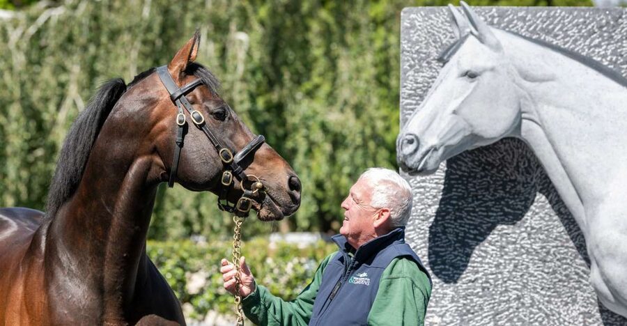 Kildare: Irish National Stud & Gardens - Start with the public tour of the stud