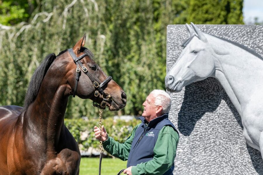 Kildare: Irish National Stud & Gardens - The Living Legends room and Ireland’s racing stars