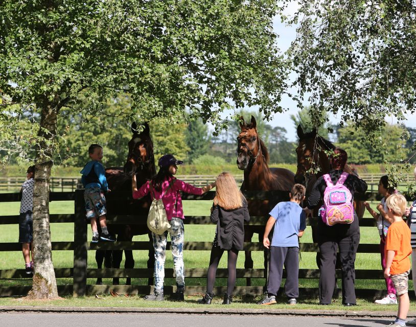Kildare: Irish National Stud & Gardens - Walk the Japanese Gardens and the Life of Man path