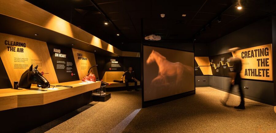 Kildare: Irish National Stud & Gardens - Who will enjoy this visit most?