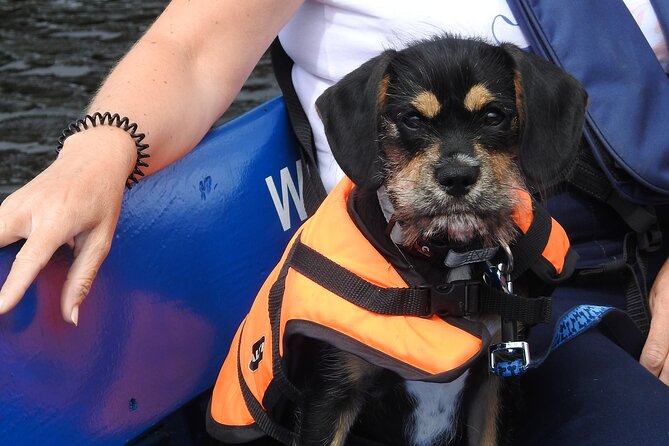 Kilkenny Boat Trip - Why the short duration can work