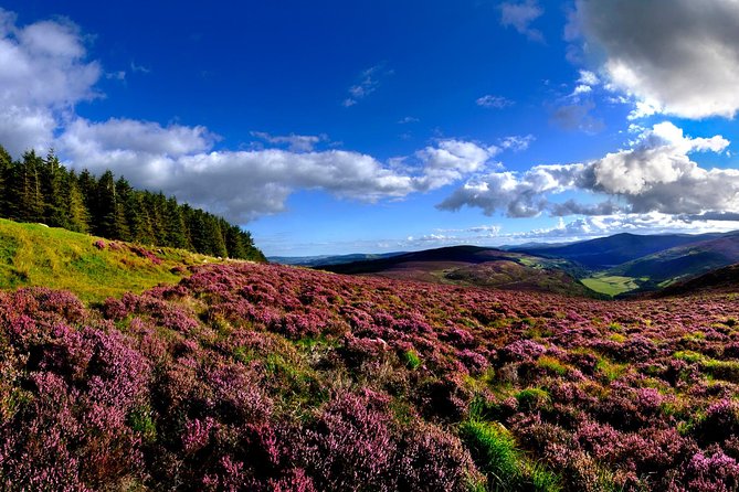 Kilkenny, Wicklow Mountains & Glendalough Day Tour from Dublin - Wicklow Gap: ten minutes of big views
