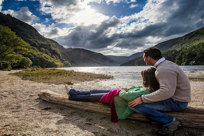 Kilkenny, Wicklow Mountains & Glendalough Day Tour from Dublin - The sheep farm and border collies