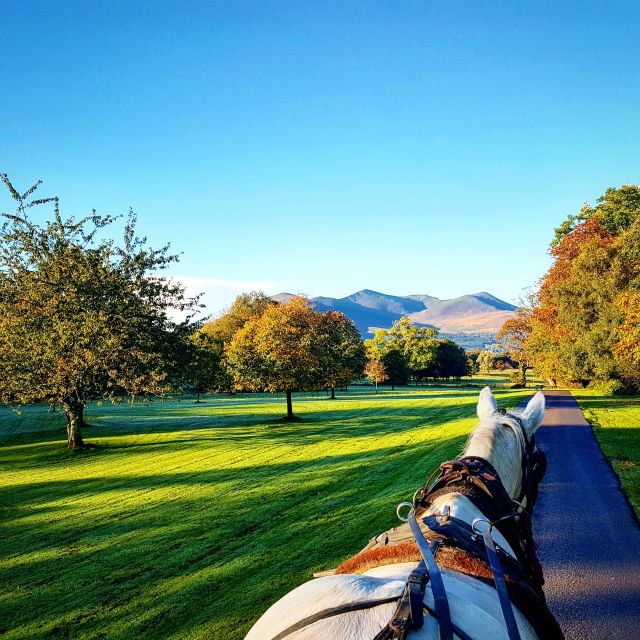Killarney: 1-Hour Jaunting Car Horse and Carriage Tour - St. Mary’s Cathedral and the town-to-park transition