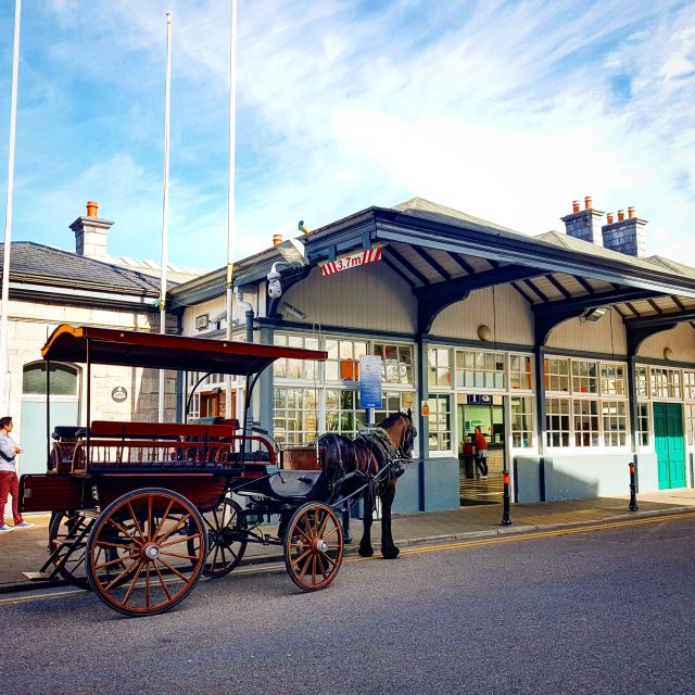 Killarney: 1-Hour Jaunting Car Horse and Carriage Tour - The horse, the guide, and the character of the ride