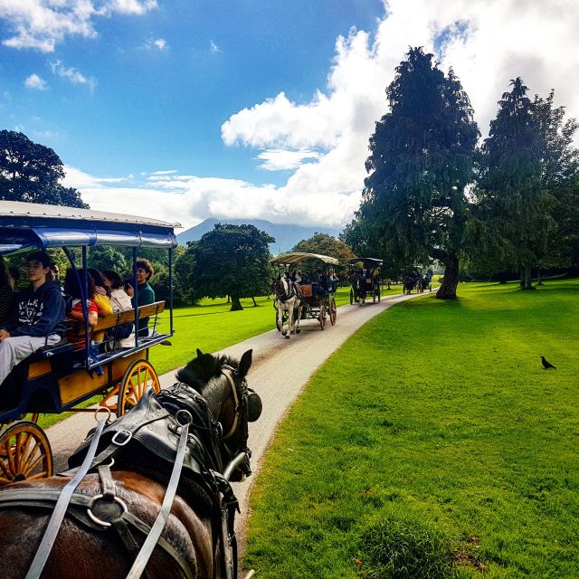 Killarney: 1-Hour Jaunting Car Horse and Carriage Tour - Practical advice before you reserve