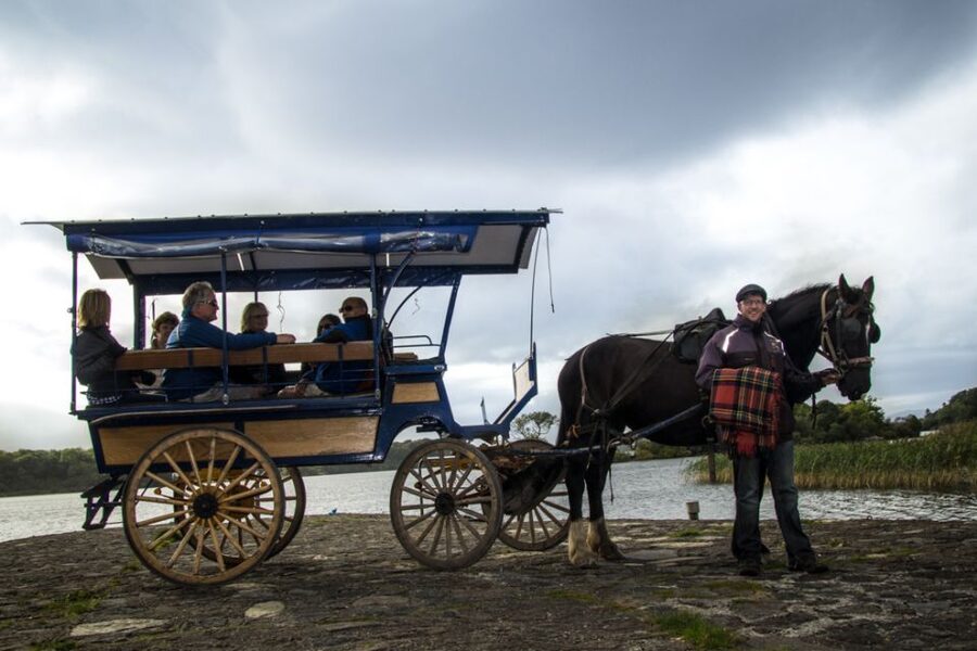Killarney: 1-Hour Jaunting Car Horse and Carriage Tour - Rolling through Killarney National Park