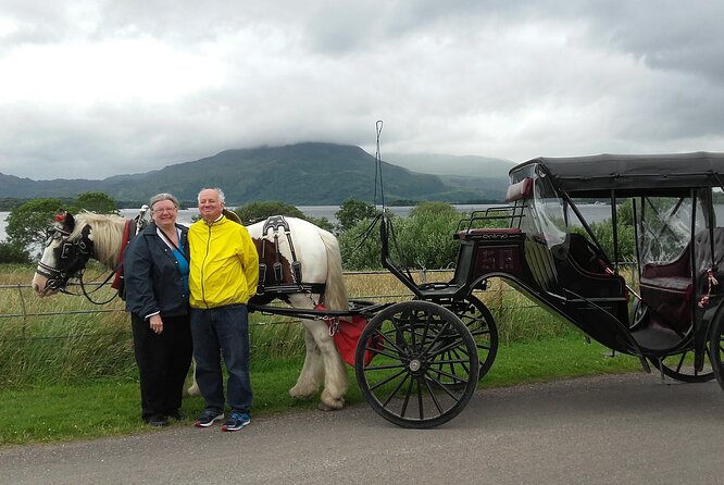 Killarney National Park Tour - The guides make the short ride worthwhile