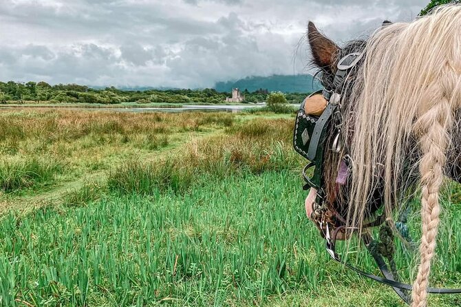 Killarney National Park Tour - Is $60.46 good value?