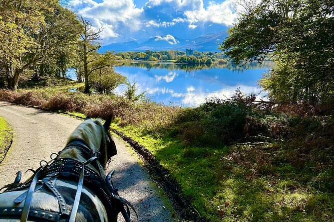 Killarney National Park Tour - Who should book this Killarney carriage ride?