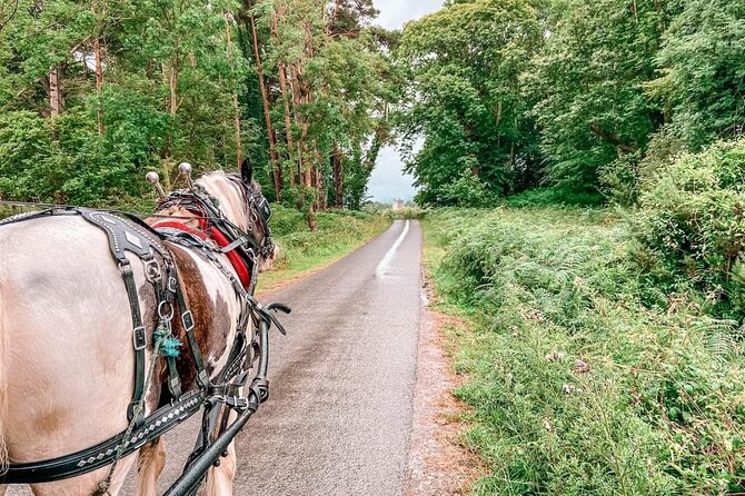 Killarney National Park Tour - Lough Leane and Ross Castle