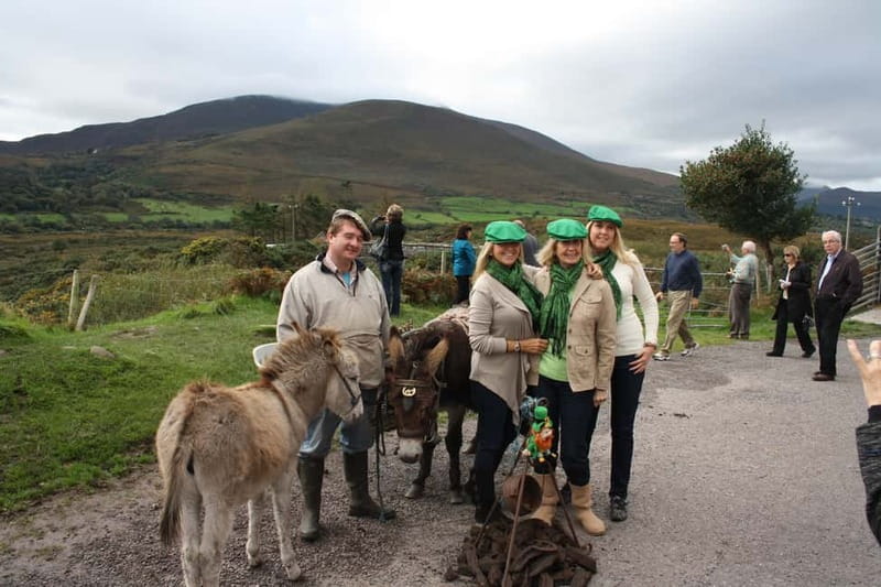 Killarney: Ring of Kerry Bus Tour - Starting in Killarney and passing Killorglin