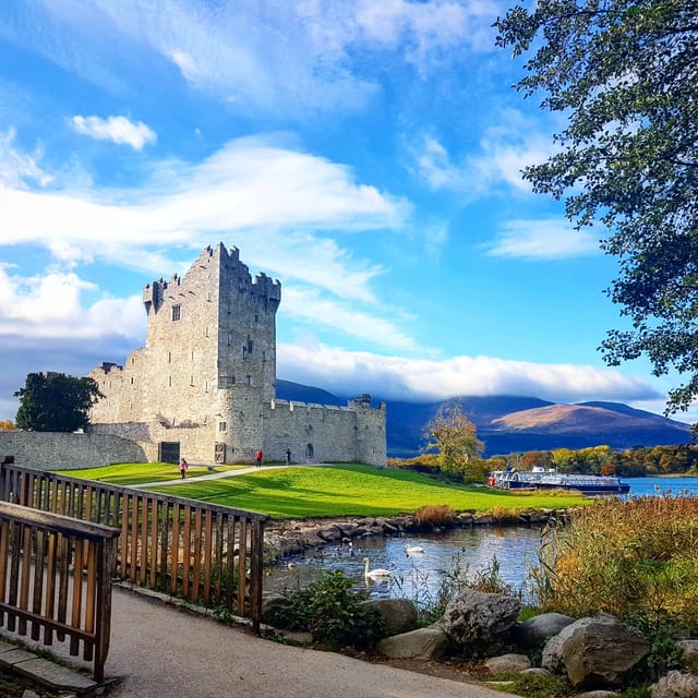 Lakes of Killarney: Boat Cruise - The guide makes the short route worthwhile