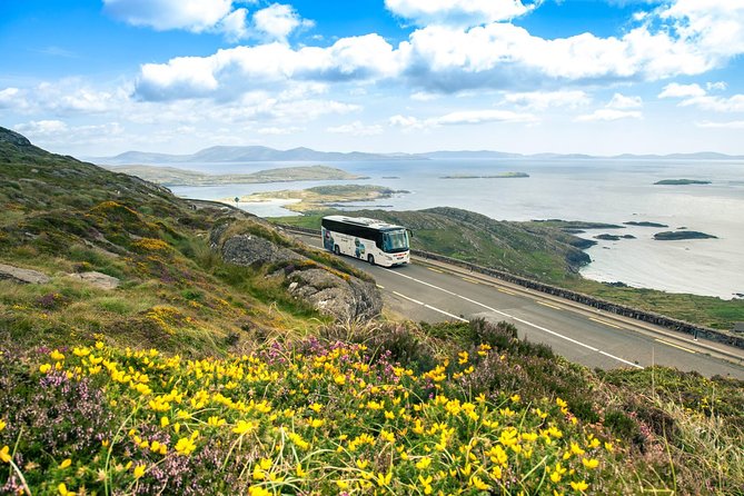 NO 1 Ring of Kerry Tour inc Killarney Lakes & National Park - Moll’s Gap, Ladies View, and Killarney National Park