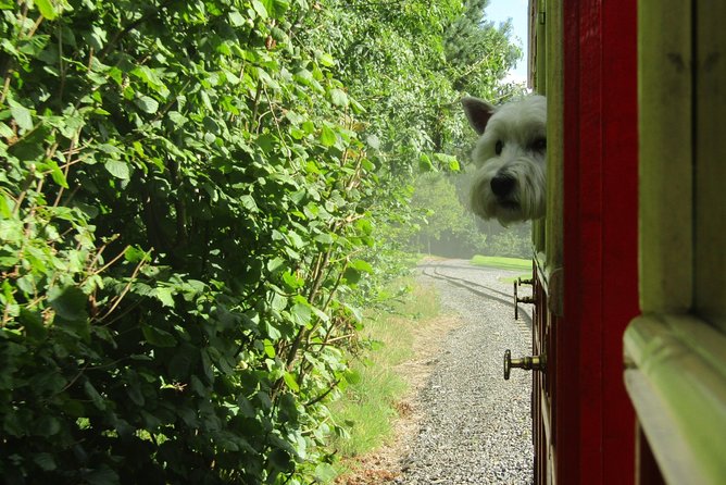 Oakfield Park Day Pass and Train Ride - What you can see on foot