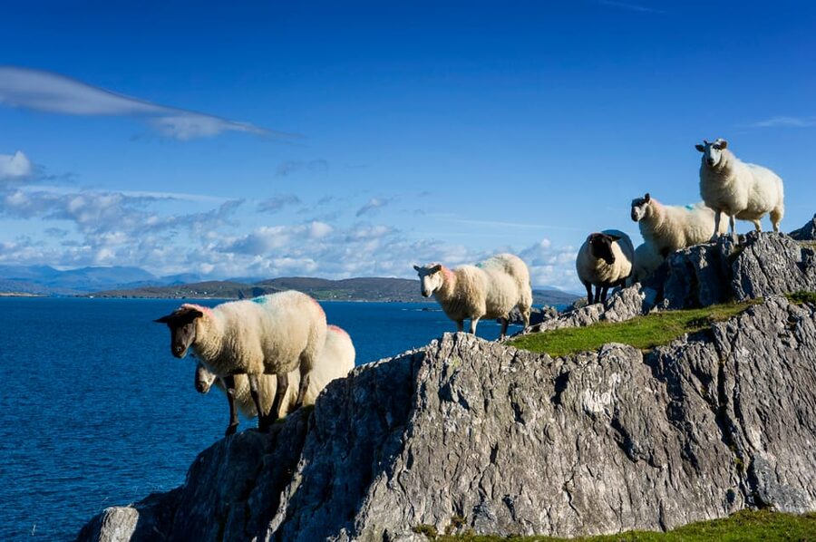 Private Wild Atlantic Day Tour from Cork - One private day, many possible directions