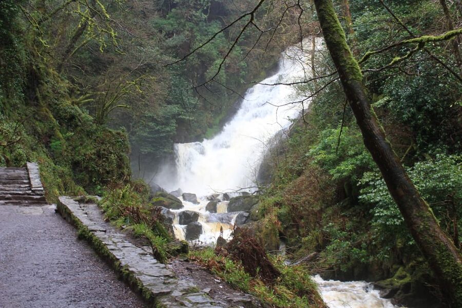 Private Wild Atlantic Day Tour from Cork - Add hiking or cycling to change the pace