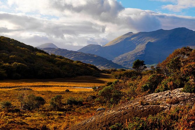 Ring of Kerry Day Tour from Cork: Including Killarney National Park - Leaving Cork and reaching Killarney