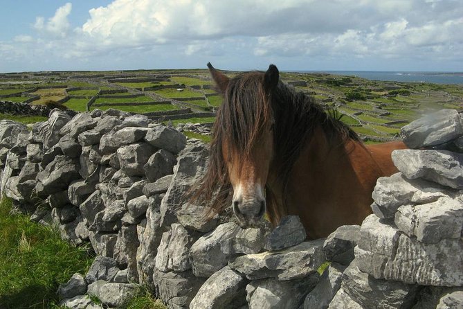 Ring of Kerry Day Tour from Cork: Including Killarney National Park - Waterville and the Charlie Chaplin connection