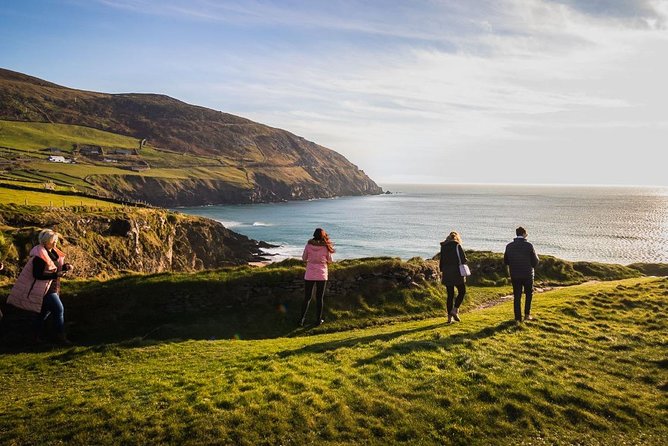 Ring of Kerry Day Tour from Cork: Including Killarney National Park - Killarney gives you one hour to choose